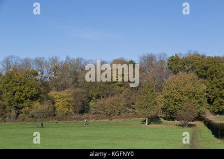 Lloyd Park à Croydon le matin de l'automne Banque D'Images