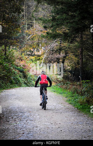 Vtt à Cardinham Woods à Cornwall. Banque D'Images