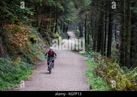 Un vélo de montagne équitation le long d'une voie ferrée à Cardinham Woods à Cornwall. Banque D'Images