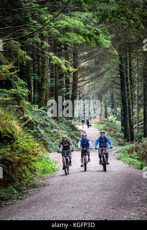 Cornwall Cardinham Woods - vélo de montagne équitation le long d'une voie ferrée à Cardinham Woods à Cornwall. Banque D'Images