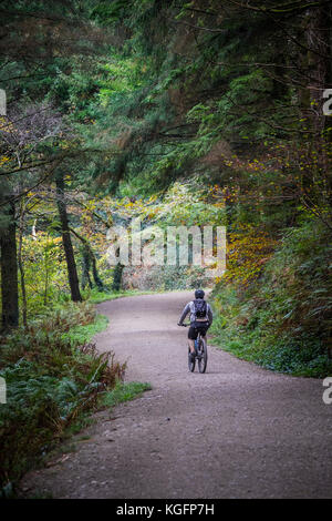 Cornwall Cardinham Woods - un vélo de montagne équitation le long d'une voie ferrée à Cardinham Woods à Cornwall. Banque D'Images