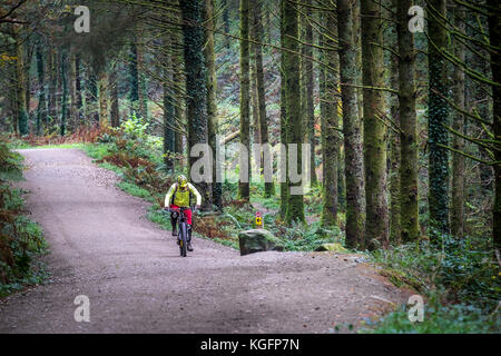 Vtt - un vélo de montagne équitation le long d'une voie ferrée à Cardinham Woods à Cornwall. Banque D'Images