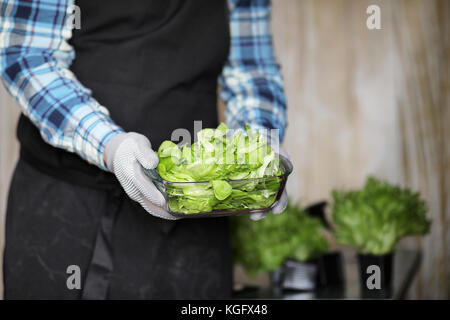 L'homme en tablier et gants détient un bol de salade verte fraîche Banque D'Images