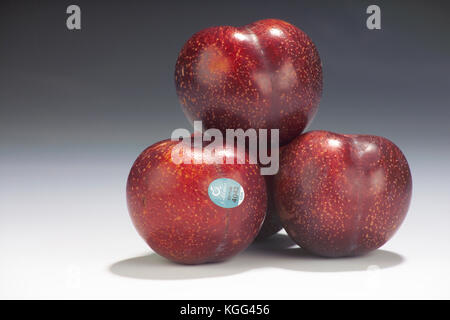 CLOSE UP DE PRUNES ROUGES EN STUDIO Banque D'Images