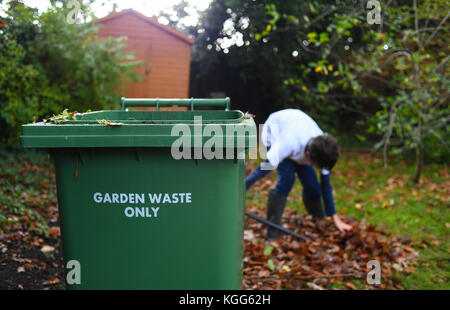 L'effacement du jardin de feuilles tombées de l'automne et de les recycler en vert jardin poubelle pour le compost. Banque D'Images