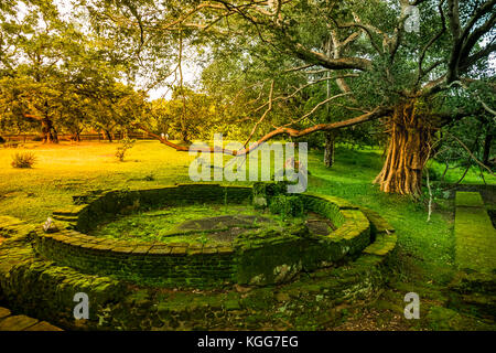 Ruines antiques à Polonnaruwa, Sri Lanka, Asie Banque D'Images