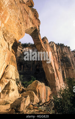 La Ventana Arch, Cebolla Wilderness Area, El Malpais National Conservation Area, subventions, Nouveau Mexique USA Banque D'Images