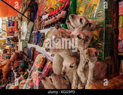 Marché des sorcières, La Paz, Bolivie Banque D'Images