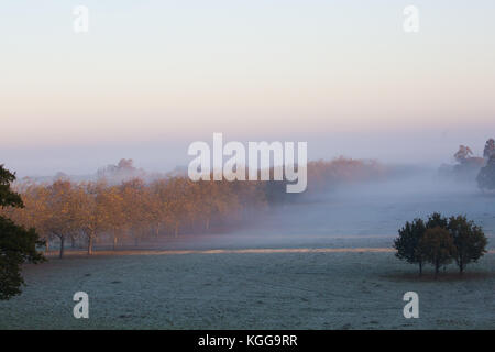 Windsor, Royaume-Uni. 6 novembre, 2017. Une vue vers le château de Windsor au lever du soleil sur un matin glacial et brumeux à Windsor Great Park. Banque D'Images