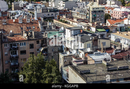 Jungle urbaine dense au centre-ville de Belgrade, Serbie Banque D'Images