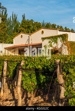 Bodega viamonte, Winery, lujan de Cuyo, dans la province de Mendoza, Argentine Banque D'Images