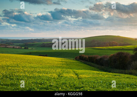 Coucher du soleil d'automne dans le parc national des South Downs, West Sussex, Angleterre. Banque D'Images