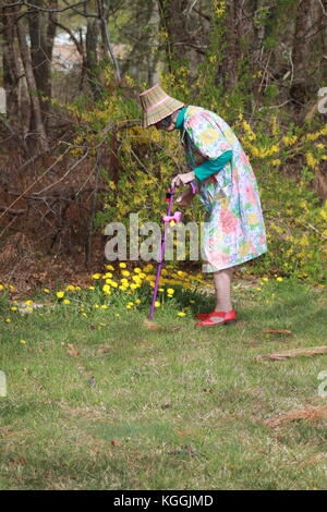 femme de jardinage Banque D'Images