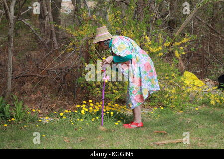 Ce travail est pour les oiseaux ! Femme plus âgée ayant tendance à les fleurs Banque D'Images