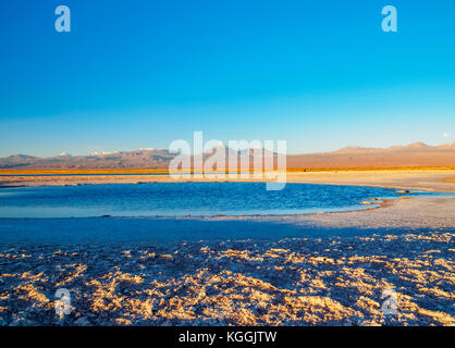 Piedra laguna au coucher du soleil, Salar de Atacama, région d'Antofagasta, Chili Banque D'Images