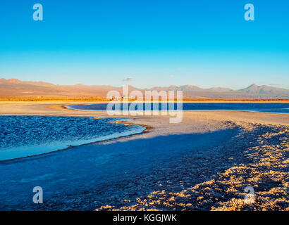 Piedra Laguna au coucher du soleil, Salar de Atacama, région d'Antofagasta, Chili Banque D'Images