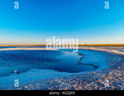 Piedra laguna au coucher du soleil, Salar de Atacama, région d'Antofagasta, Chili Banque D'Images