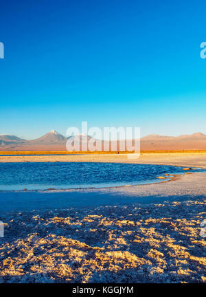 Piedra laguna au coucher du soleil, Salar de Atacama, région d'Antofagasta, Chili Banque D'Images