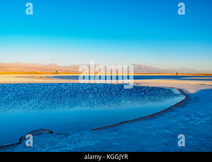 Piedra laguna au coucher du soleil, Salar de Atacama, région d'Antofagasta, Chili Banque D'Images