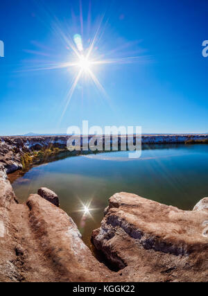 Ojos del Salar Lagoon, Salar de Atacama San Pedro de Atacama, région d'Antofagasta, Chili Banque D'Images