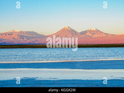 Vue sur la Laguna Baltinache vers le volcan Licancabur au coucher du soleil, Salar de Atacama, région d'Antofagasta, Chili Banque D'Images