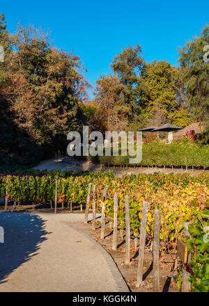 Concha y Toro, vignoble pirque, région métropolitaine de Santiago, Chili Banque D'Images