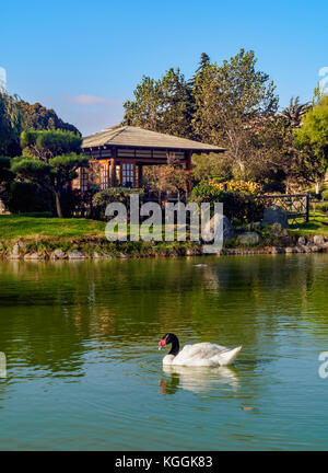 Jardin japonais, la Serena, région de Coquimbo, Chili Banque D'Images