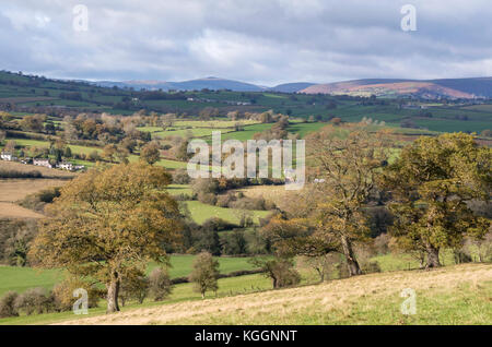 Au cours de l'automne campagne Monmouthshire et les lointaines montagnes noires, Pays de Galles, Royaume-Uni Banque D'Images