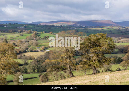 Au cours de l'automne campagne Monmouthshire et les lointaines montagnes noires, Pays de Galles, Royaume-Uni Banque D'Images