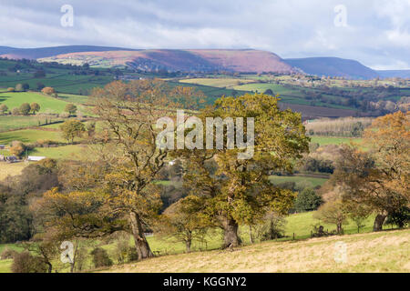 Au cours de l'automne campagne Monmouthshire et les lointaines montagnes noires, Pays de Galles, Royaume-Uni Banque D'Images