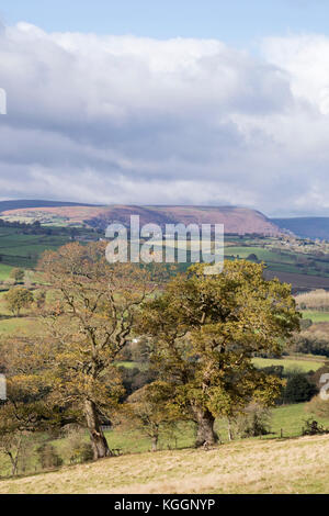 Au cours de l'automne campagne Monmouthshire et les lointaines montagnes noires, Pays de Galles, Royaume-Uni Banque D'Images