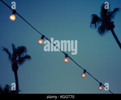 String de vintage ampoules dans jardin tropical Banque D'Images