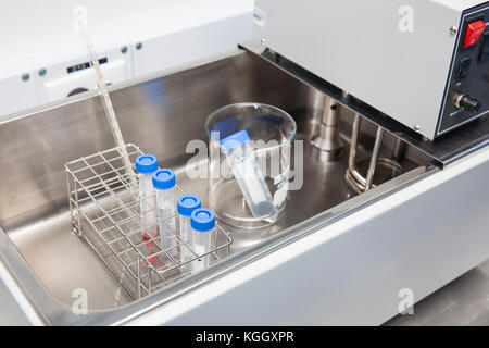 Tubes falcon et rack dans un bain d'eau chaude au laboratoire Banque D'Images