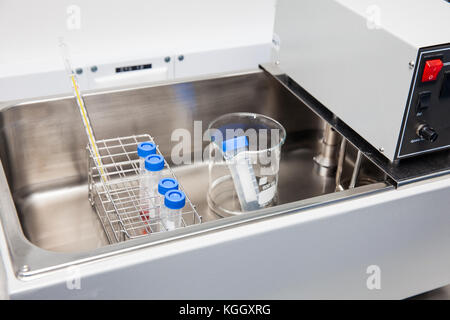 Tubes falcon et rack dans un bain d'eau chaude au laboratoire Banque D'Images