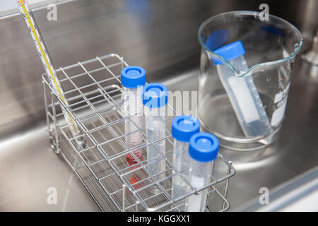 Tubes falcon et rack dans un bain d'eau chaude au laboratoire Banque D'Images