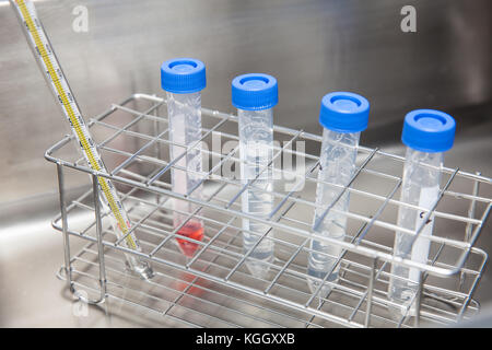 Tubes falcon et rack dans un bain d'eau chaude au laboratoire Banque D'Images