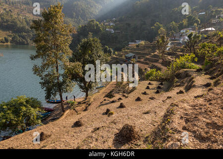 Sur les rives de phewa tal, Pokhara Banque D'Images