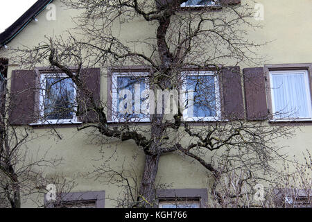 Fenêtres avec volets / Fragment d'une ancienne maison Banque D'Images