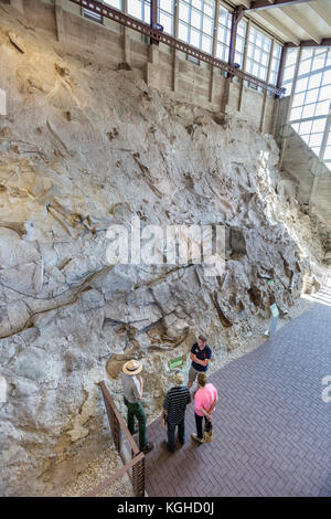 Visiteurs & fossiles de dinosaures à la carrière - Dinosaur National Monument, UT Banque D'Images