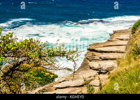 La vue sur la promenade de la plage de Tamarama de Bondi à Sydney, NSW, Australie Banque D'Images