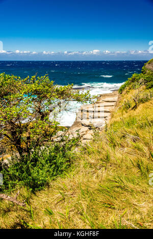 La vue sur la promenade de la plage de Tamarama de Bondi à Sydney, NSW, Australie Banque D'Images