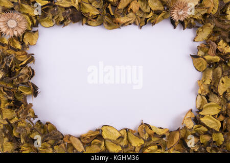 Un cadre formé avec des feuilles de fleurs séchées Banque D'Images