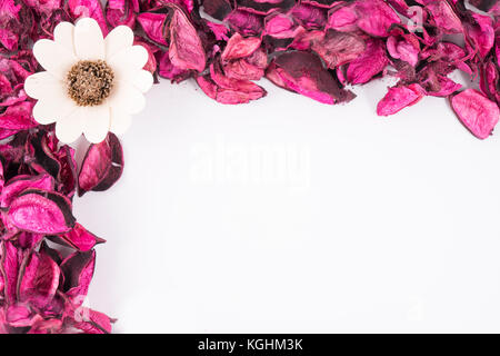 Un cadre formé avec des feuilles de fleurs séchées Banque D'Images