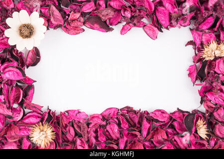 Un cadre formé avec des feuilles de fleurs séchées Banque D'Images