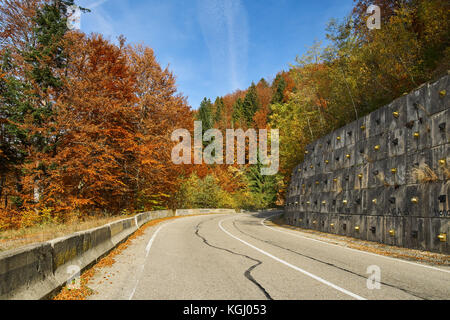 Route à travers la forêt de feuillus colorés à l'automne Banque D'Images