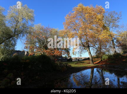 Arbres se reflétant dans l'étang norie-miller park perth ecosse novembre 2017 Banque D'Images