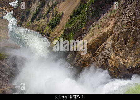 Lower Falls Yellowstone River. eaux déchaînées. vaporiser de cascade. Banque D'Images