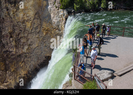 Le parc national de Yellowstone, Wyoming, USA - Le 17 juillet 2017 : les touristes et un guide regarder et prendre des photos de Yellowstone falls inférieur. grand cany Banque D'Images