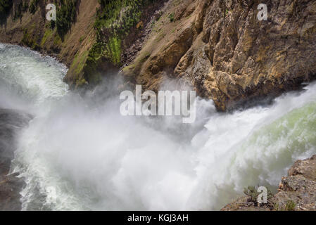 Gros plan du lower falls Yellowstone River. eaux déchaînées. vaporiser de cascade. Banque D'Images