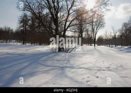 Le Parc Kadriorg, Tallinn, Estonie sous une lourde chute de neige Banque D'Images